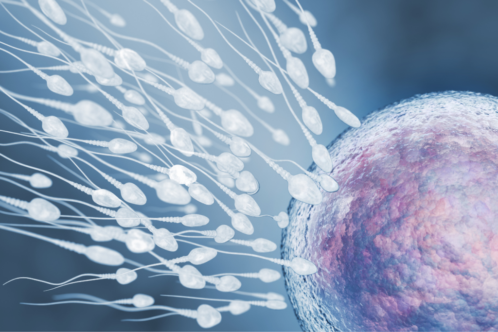 Male Infertility Reasons: Common Causes, Signs, and Treatment Paths